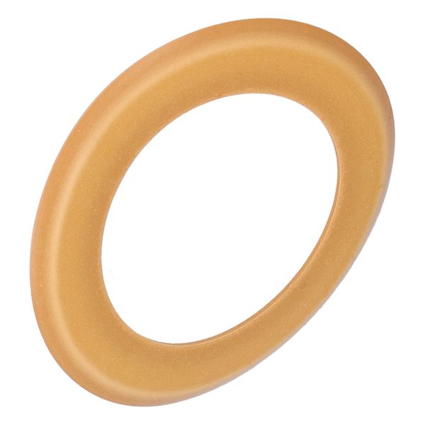 Oil-Free Air Pump Piston Ring Silent Wear-Resistant