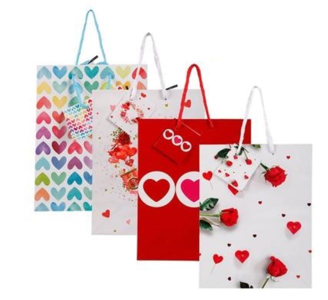 SD Homeware- Gift Bags x 4