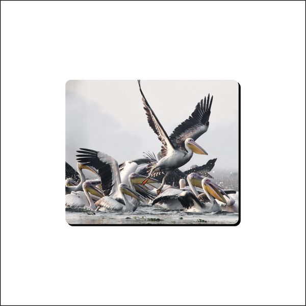 Mouse Pad - Pelecans