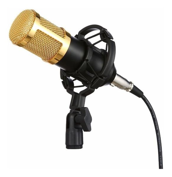 Condenser Microphone With Shock Mount &amp; Anti Wind Foam Cap - Gold