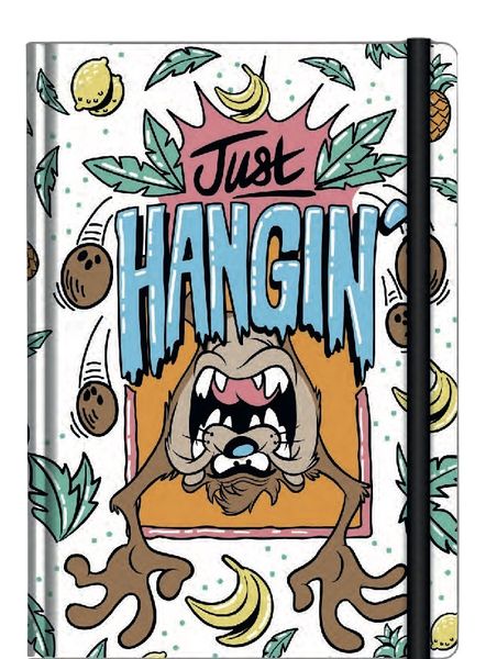 Looney Tunes A5 Casebound Notebook (Taz)