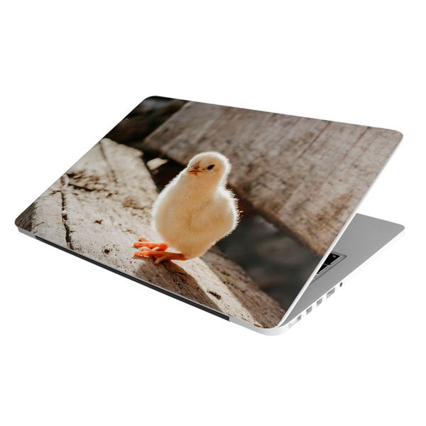 Laptop Skin/Sticker - Small Chicken