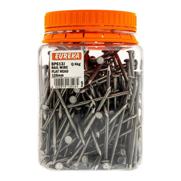 EUREKA Wire Nail Flat Head 125mm Q:4kg BP613J