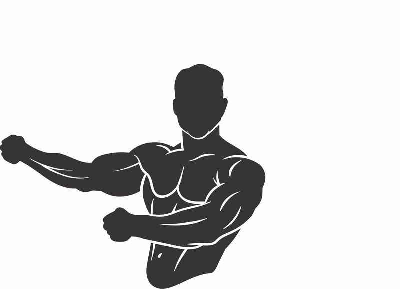 Vinyl Stickers Bodybuilder 2, Decals, Art &amp; Decals