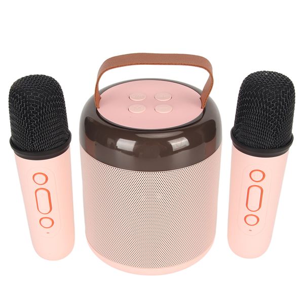 Wireless Karaoke Speaker, 2 Mics, Pink