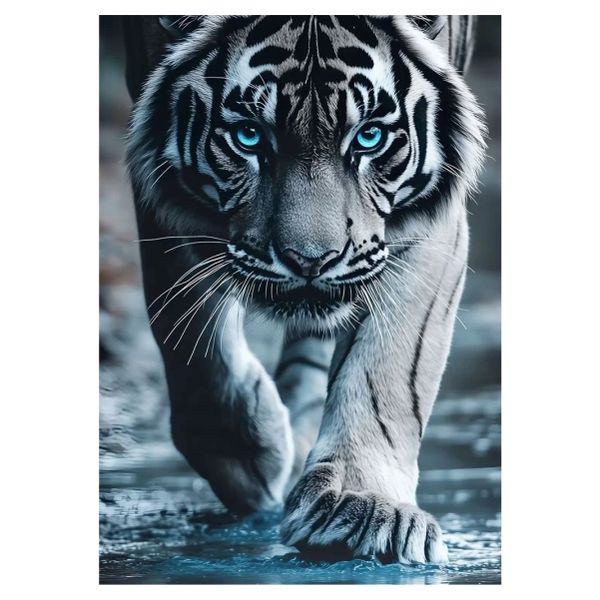 Blue Eyed Tiger - A1 Poster