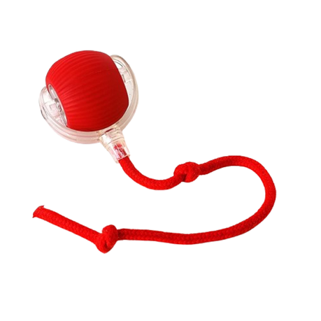 Smart Auto Rolling Pet Ball Interactive Toy for Cats & Dogs with 360 Motion Image