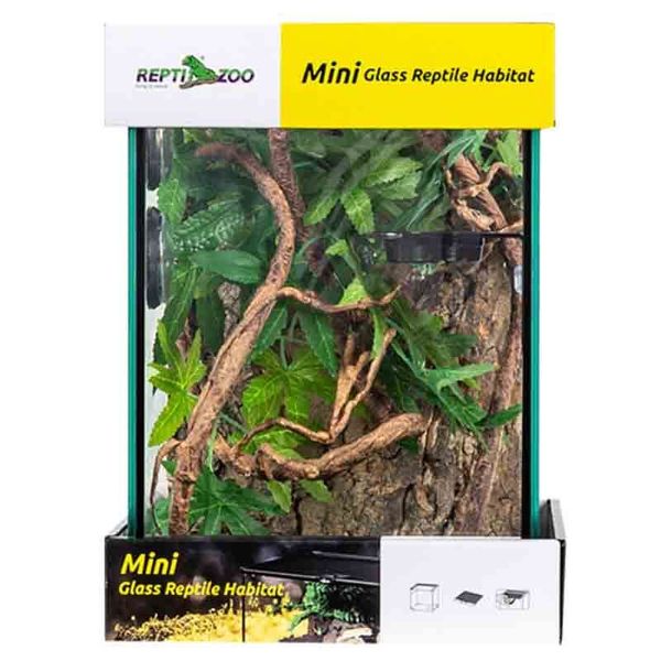 Crested Gecko Kit - Reptizoo