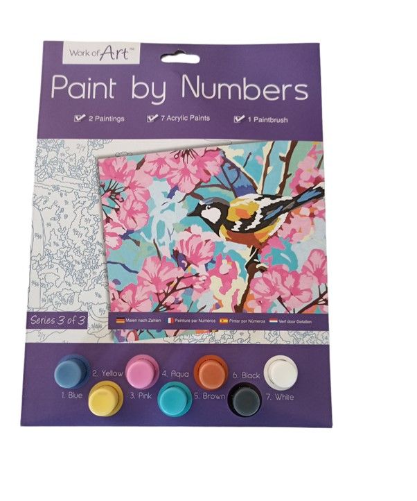 Paint by Numbers Shop Today. Get it Tomorrow!