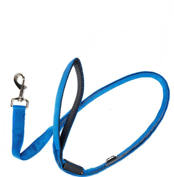LED (Light Up) Dog Leash USB Rechargeable - Blue
