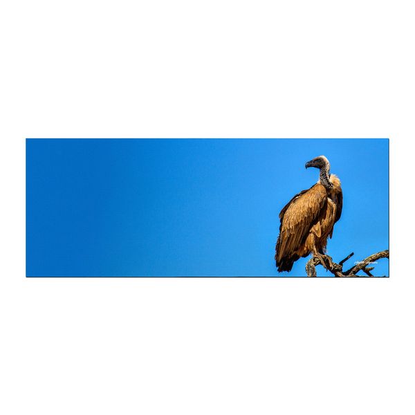Look Out Large Desk Pad By Annette Heymans