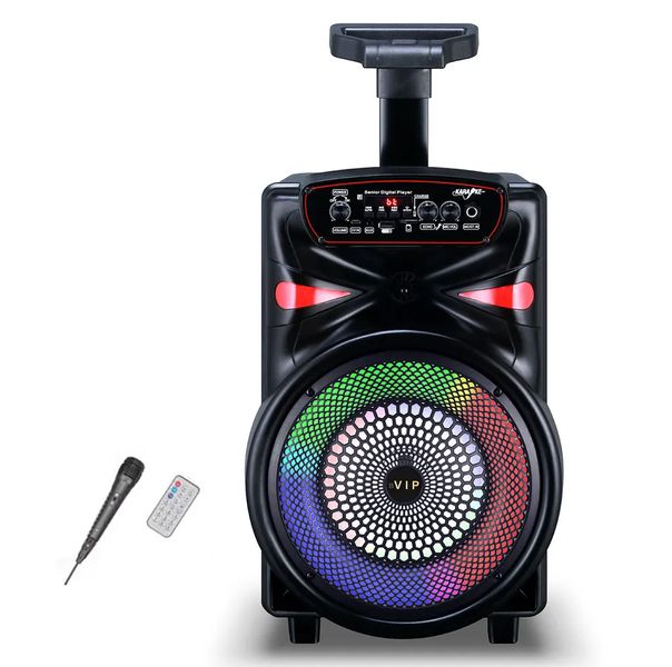 10 inch outdoor party speaker with microphone (karoake) JT-1001