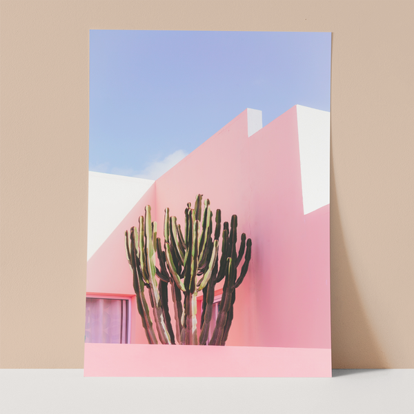 Cactus on Pink Wall Wall Print