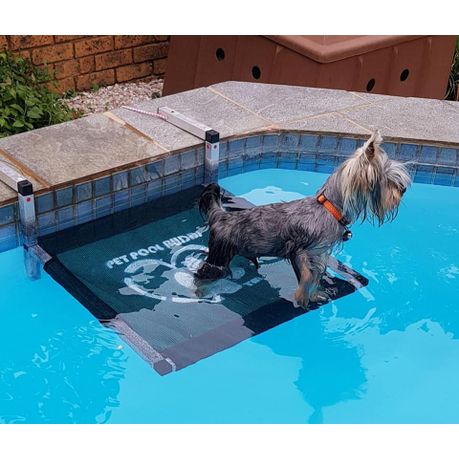 Pet clearance pool ramp