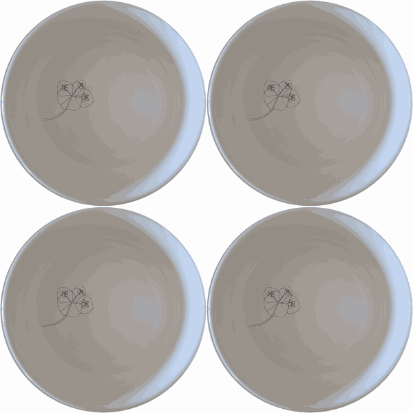Hoya Carnosa Bowl Set of 4 - Range 4