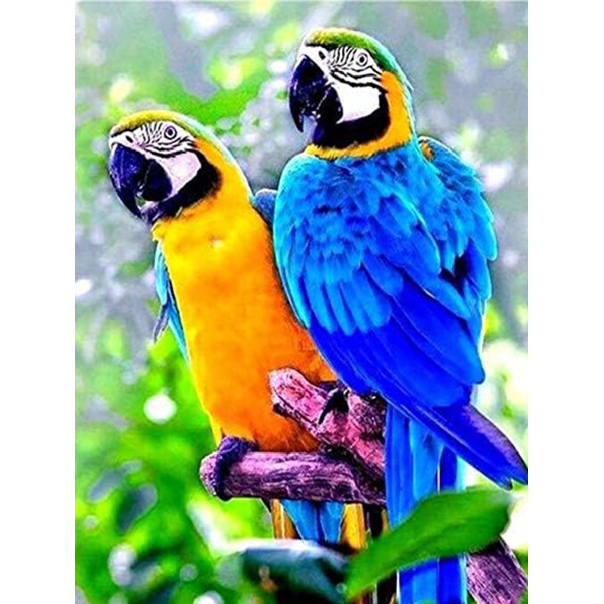 Diamond Painting DIY Kit Square Dot - Macaw Parrots Yellow Blue | Shop ...