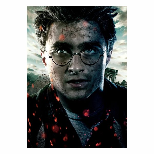 Harry Potter Portrait - A1 poster