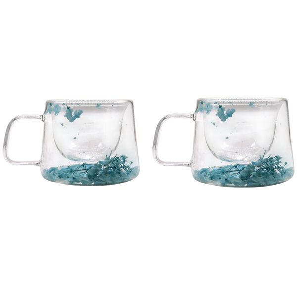 Dried Flower Double Wall Glass - 200ml
