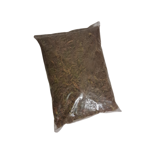 Sphagnum Moss 10L Bag For Reptiles, Terrariums and Decor (single bag)