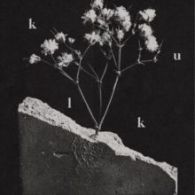 We Spare Nothing (Vinyl / 12" Album)