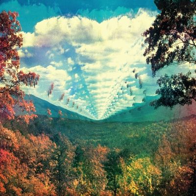 Vinyl / 12" Album image