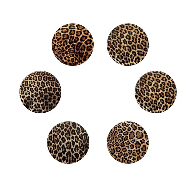 6 Piece Leopard Print Diatomite Coaster Set - Absorbent Animal Print