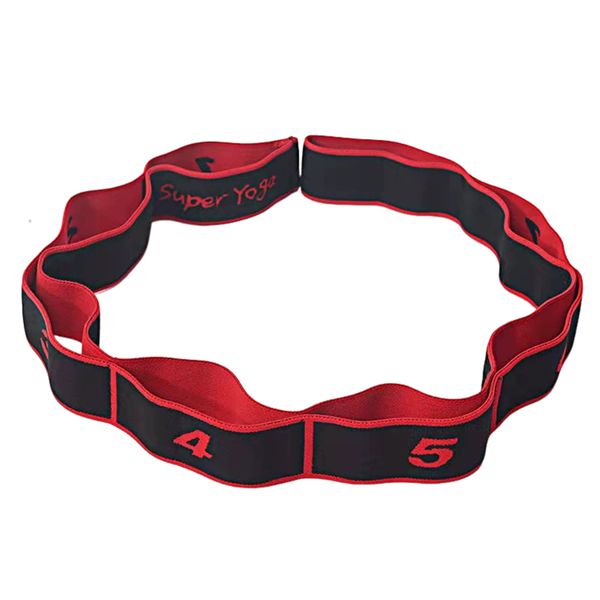 Yoga Resistance Bands, Elastic Fitness Bands, 8-Section Segmented Yoga