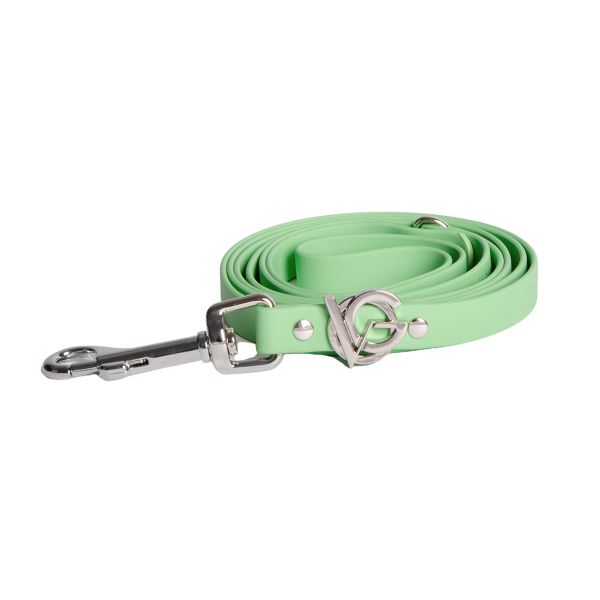 Valgray Splash Proof Dog Leash, Pistachio &amp; Silver, Extra Small to Small
