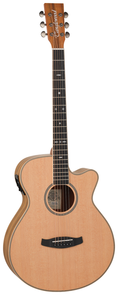 TANGLEWOOD Reunion Super Folk Cedar Top Pacific Walnut Back &amp; Sides