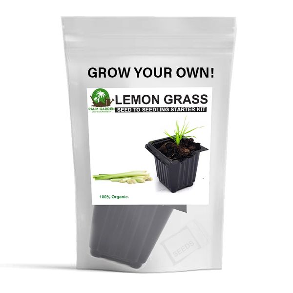 Palm Garden Grow Your Own Lemongrass Plant - Seed to Seedling Kit