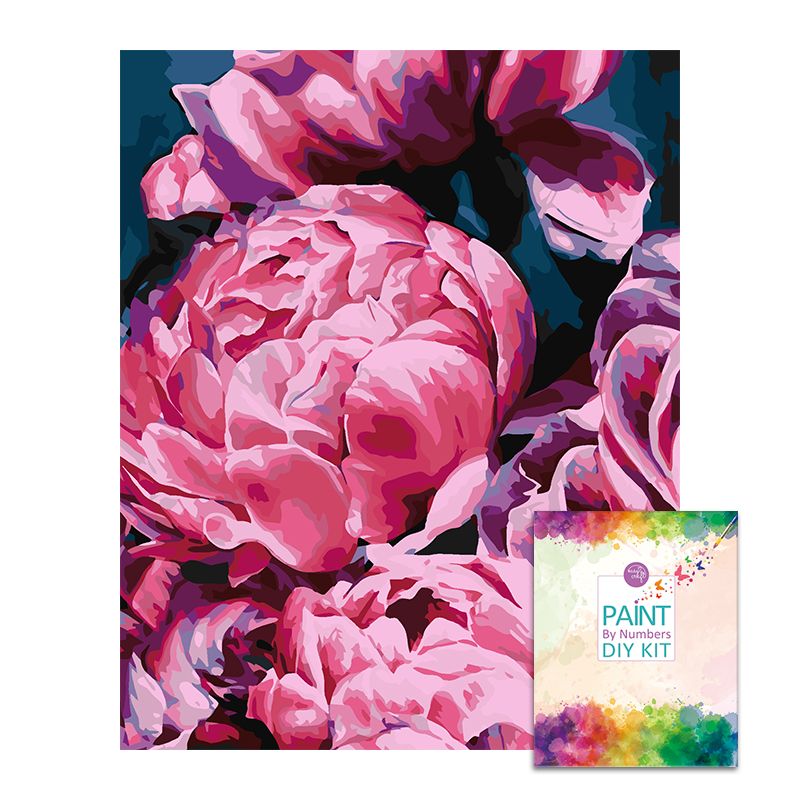 Easy Craft Paint by Number DIY Kit, 50x40cm Peony Shop Today. Get it