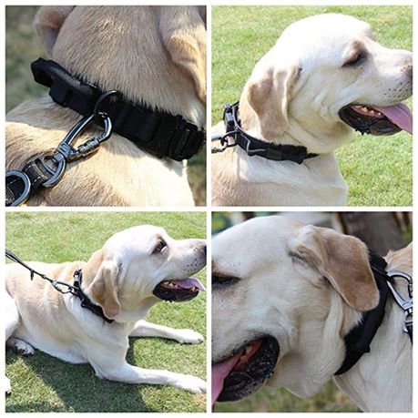 Adjustable Tactical Military Dog Training Collar with Metal Buckle Black Shop Today. Get it Tomorrow takealot