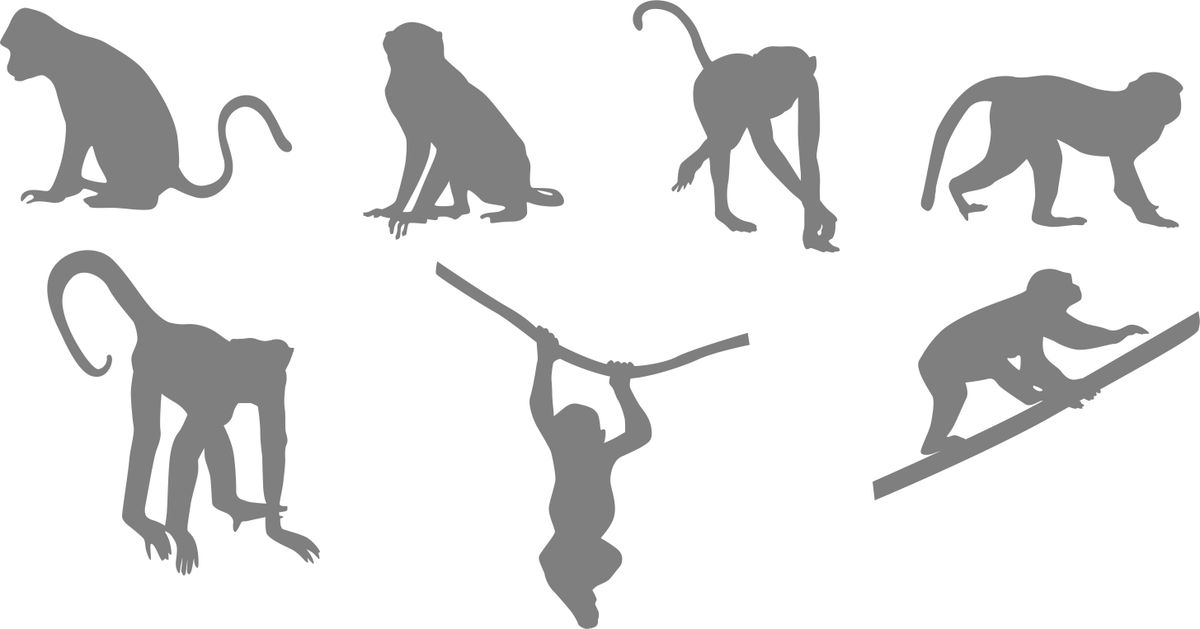 Frosted Vinyl Stickers Monkeys Decal; Art Decor Shop Today. Get it