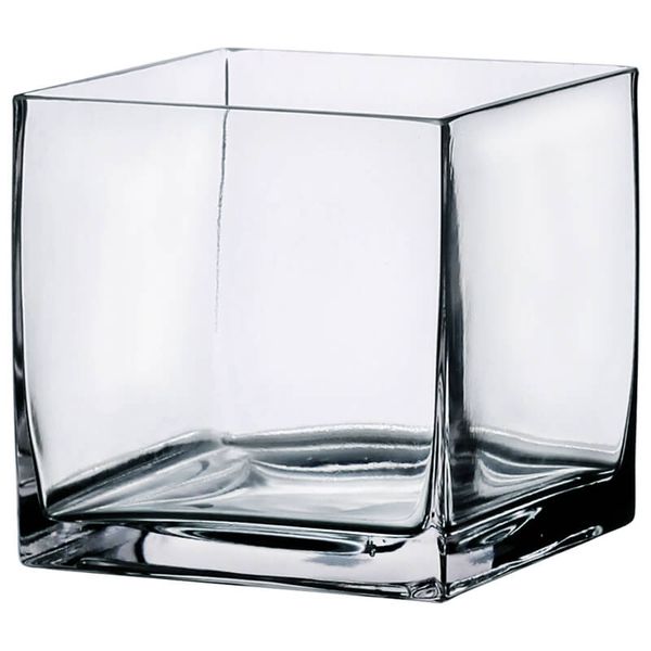 Transparent Square - Tank Vase 15 x 15 x 15CM