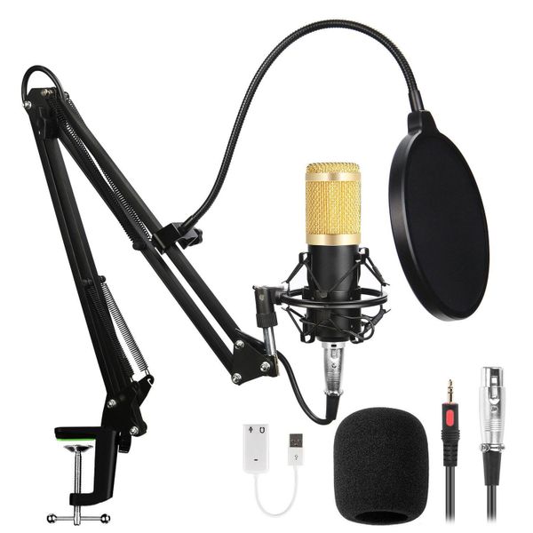 Professional M800 Wired Condenser Studio Recording Microphone