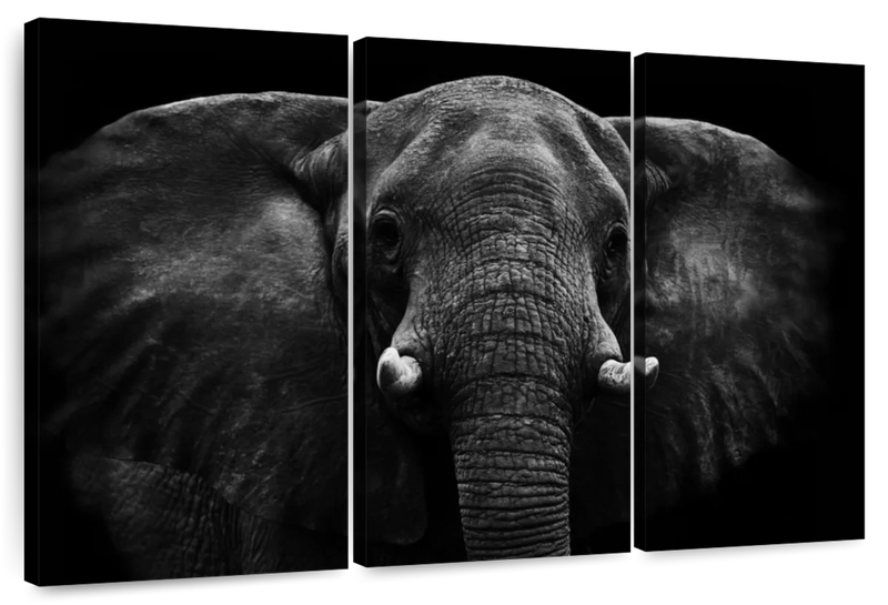 Canvas Art - Elephant Watch 3 Piece Canvas Wall Art Decor