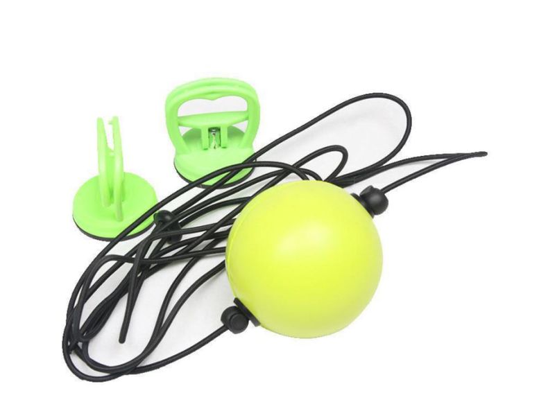 Reflex Muay Thai /Martial Arts Training Ball