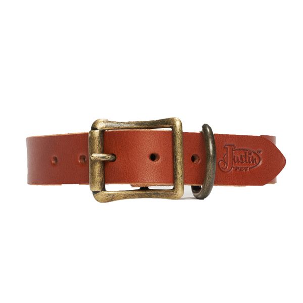Justin Western Woof Leather Dog Collar
