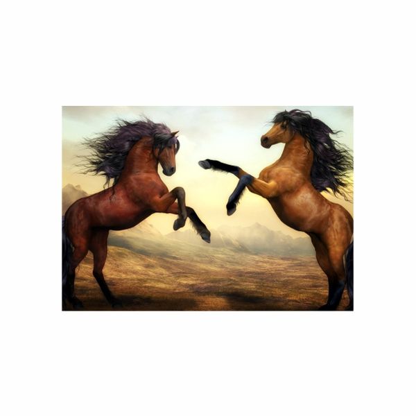Brown Horses Fighting - A1 poster