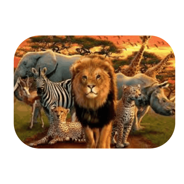 Big Five Printed Mouse Pad