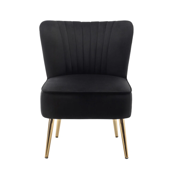Penna Velvet Upholstered Accent Chair with Gold Accent Legs