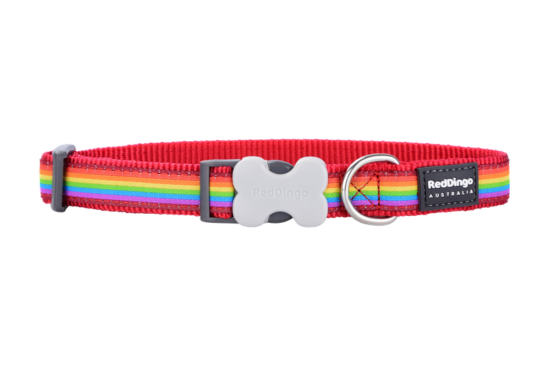 Red Dingo Dog Collar - Design - Medium - Rainbow