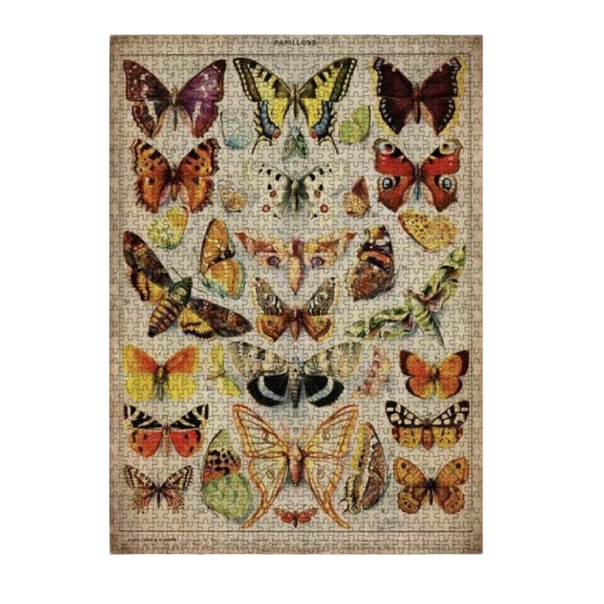 1000Piece Butterfly Puzzle Frameless, Vibrant Mixed Colours Artwork