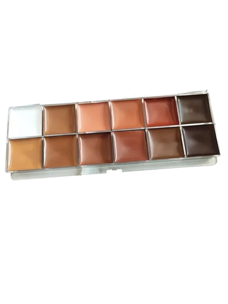 Professional Makeup Concealer Palette