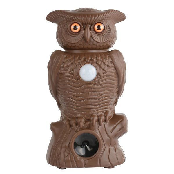 BEST TRADER-XP-Owl Alert Motion BT