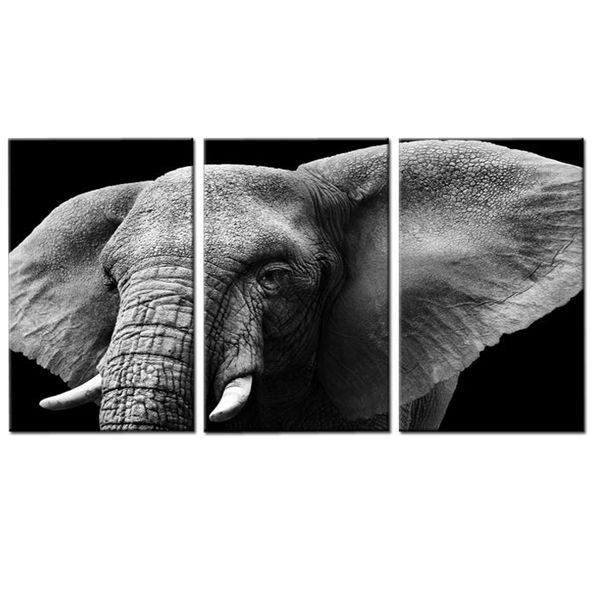 Canvas-Art- 3 Pieces African Wild Black &amp; White Elephant Animals Wall Art
