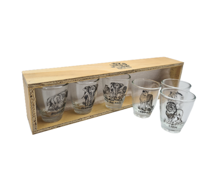 Big 5 Set of 6 Shooter Glasses