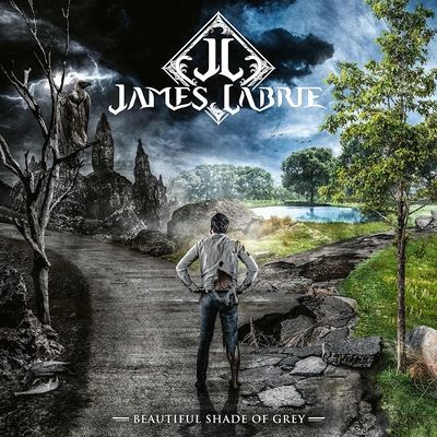Beautiful Shades of Grey (Vinyl / 12" Album with CD)