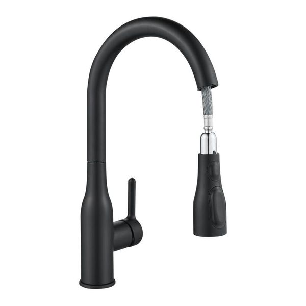 Delinia Fanny Pull Out Kitchen Faucet ACS - Black