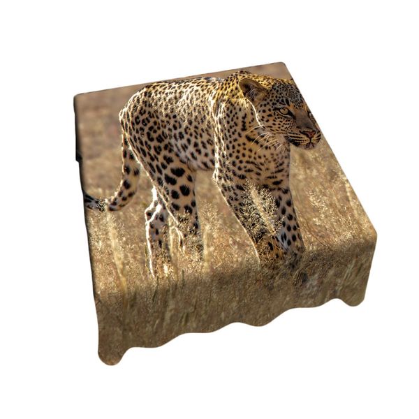 Leopard Luiperd Panthera Pardus Kgalagadi Square Tablecloth By Fanie Heymans